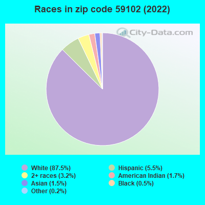 Races in zip code 59102 (2019)
