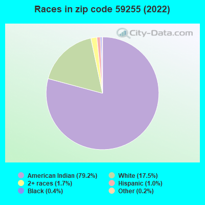 Races in zip code 59255 (2019)