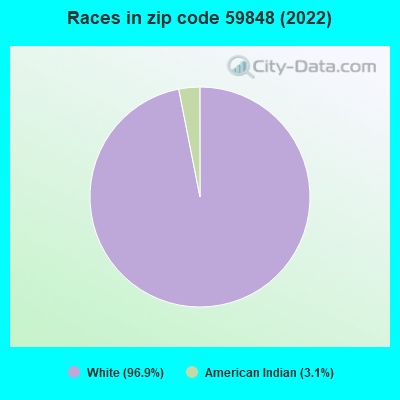 Races in zip code 59848 (2022)