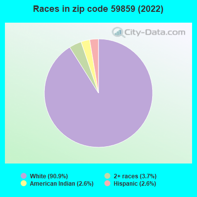 Races in zip code 59859 (2019)