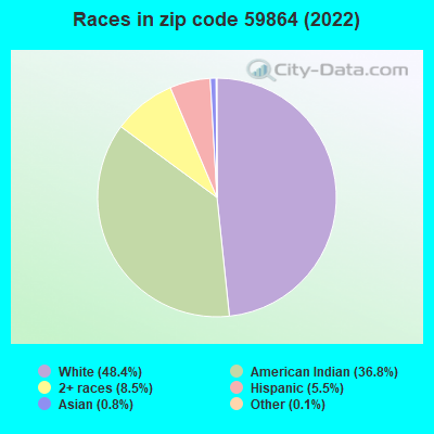 Races in zip code 59864 (2019)