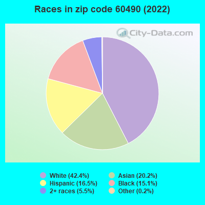 Races in zip code 60490 (2019)