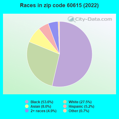 Races in zip code 60615 (2021)