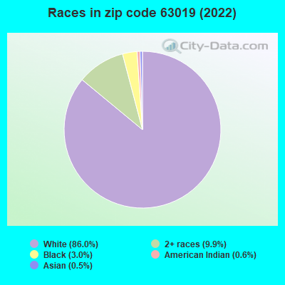 Races in zip code 63019 (2019)
