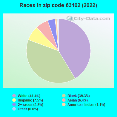 Races in zip code 63102 (2022)
