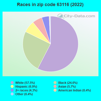Races in zip code 63116 (2021)