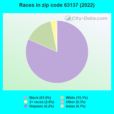 Races in zip code 63137 (2021)