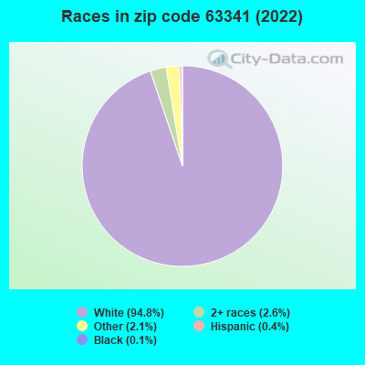 Races in zip code 63341 (2022)
