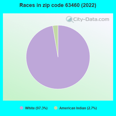 Races in zip code 63460 (2019)