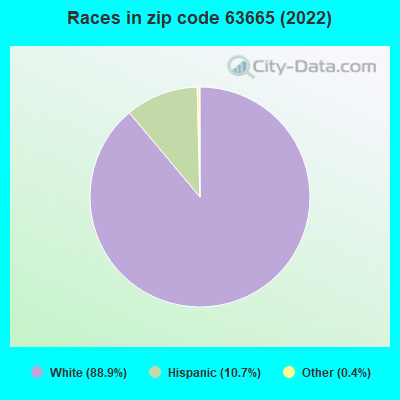 Races in zip code 63665 (2022)