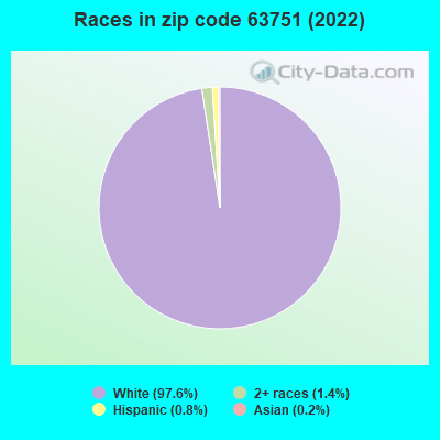 Races in zip code 63751 (2019)
