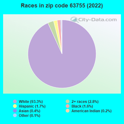Races in zip code 63755 (2019)