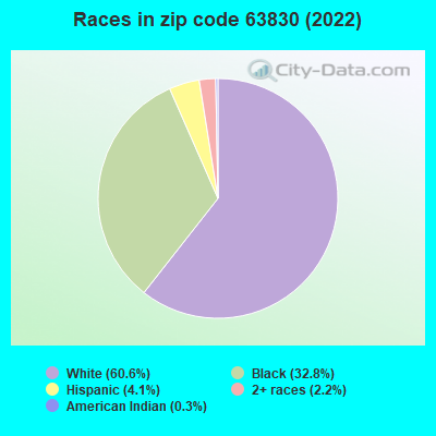 Races in zip code 63830 (2021)