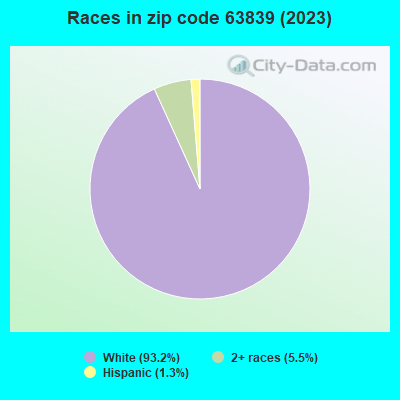 Races in zip code 63839 (2021)