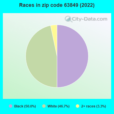 Races in zip code 63849 (2021)