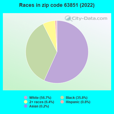 Races in zip code 63851 (2019)