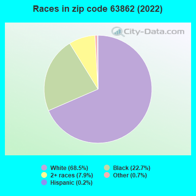 Races in zip code 63862 (2019)