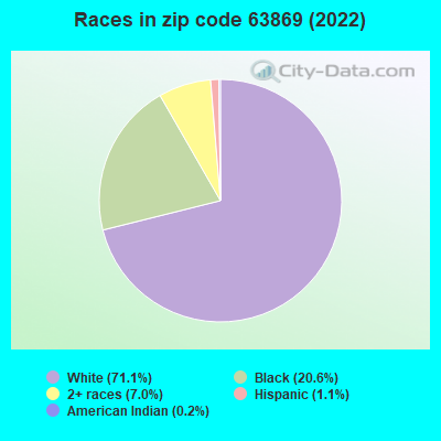 Races in zip code 63869 (2019)