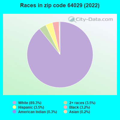 Races in zip code 64029 (2019)