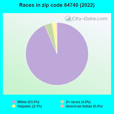 Races in zip code 64740 (2019)