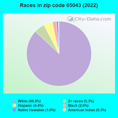 Races in zip code 65043 (2019)