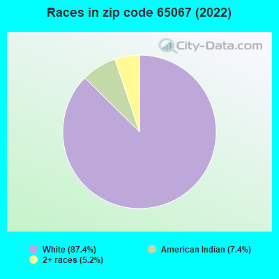 Races in zip code 65067 (2022)