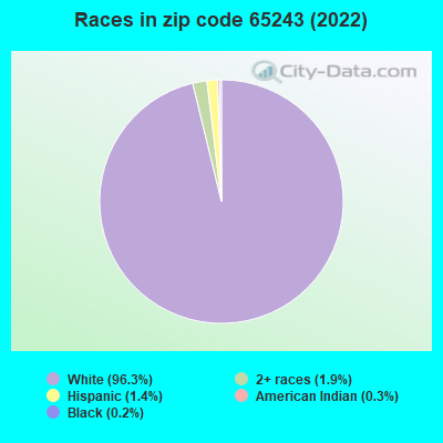 Races in zip code 65243 (2019)