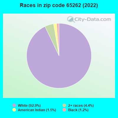 Races in zip code 65262 (2022)