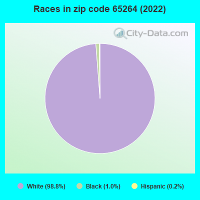 Races in zip code 65264 (2022)