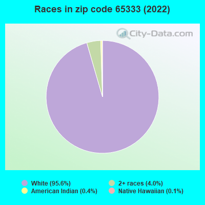 Races in zip code 65333 (2019)
