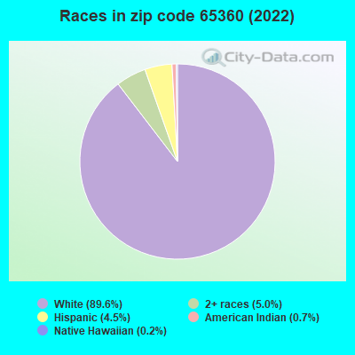 Races in zip code 65360 (2019)