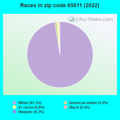 Races in zip code 65611 (2019)