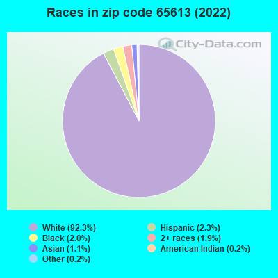 Races in zip code 65613 (2022)