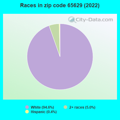 Races in zip code 65629 (2022)
