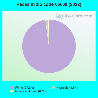 Races in zip code 65638 (2019)