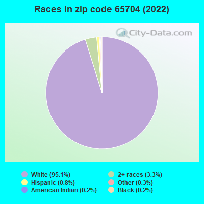 Races in zip code 65704 (2019)