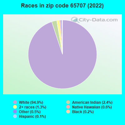 Races in zip code 65707 (2019)