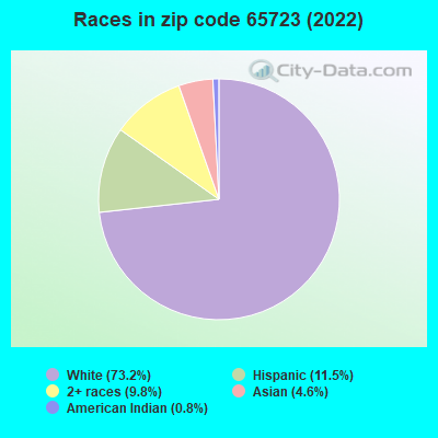 Races in zip code 65723 (2022)