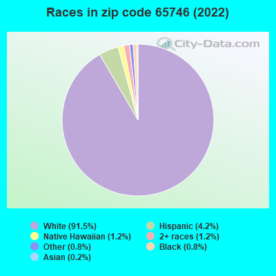 Races in zip code 65746 (2019)