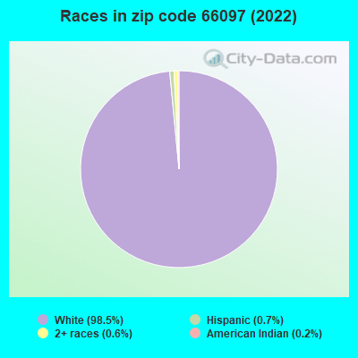 Races in zip code 66097 (2019)