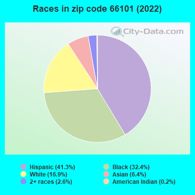 Races in zip code 66101 (2019)