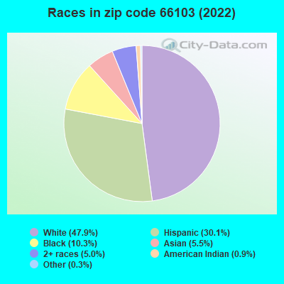 Races in zip code 66103 (2021)