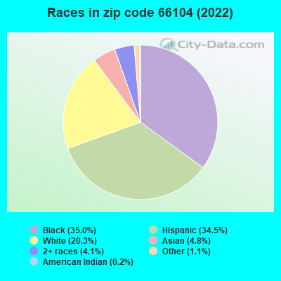 Races in zip code 66104 (2021)