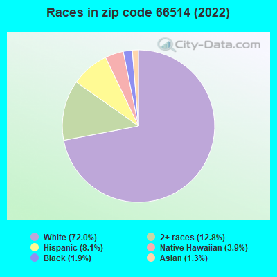 Races in zip code 66514 (2022)