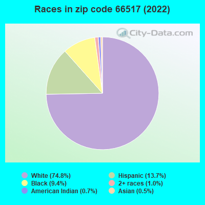 Races in zip code 66517 (2022)