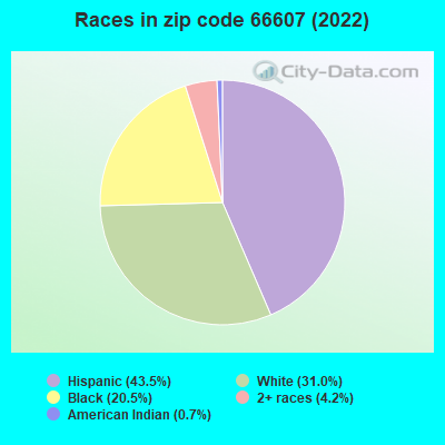 Races in zip code 66607 (2019)
