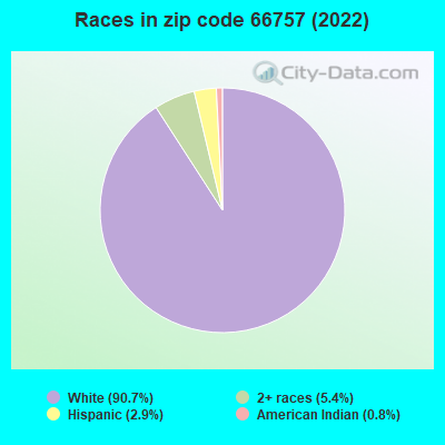Races in zip code 66757 (2019)
