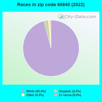 Races in zip code 66840 (2019)
