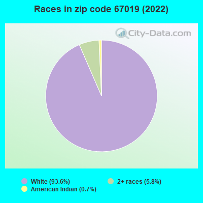 Races in zip code 67019 (2022)