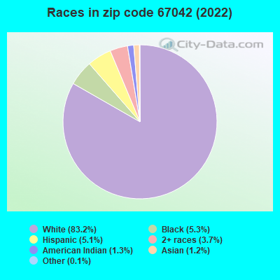 Races in zip code 67042 (2019)